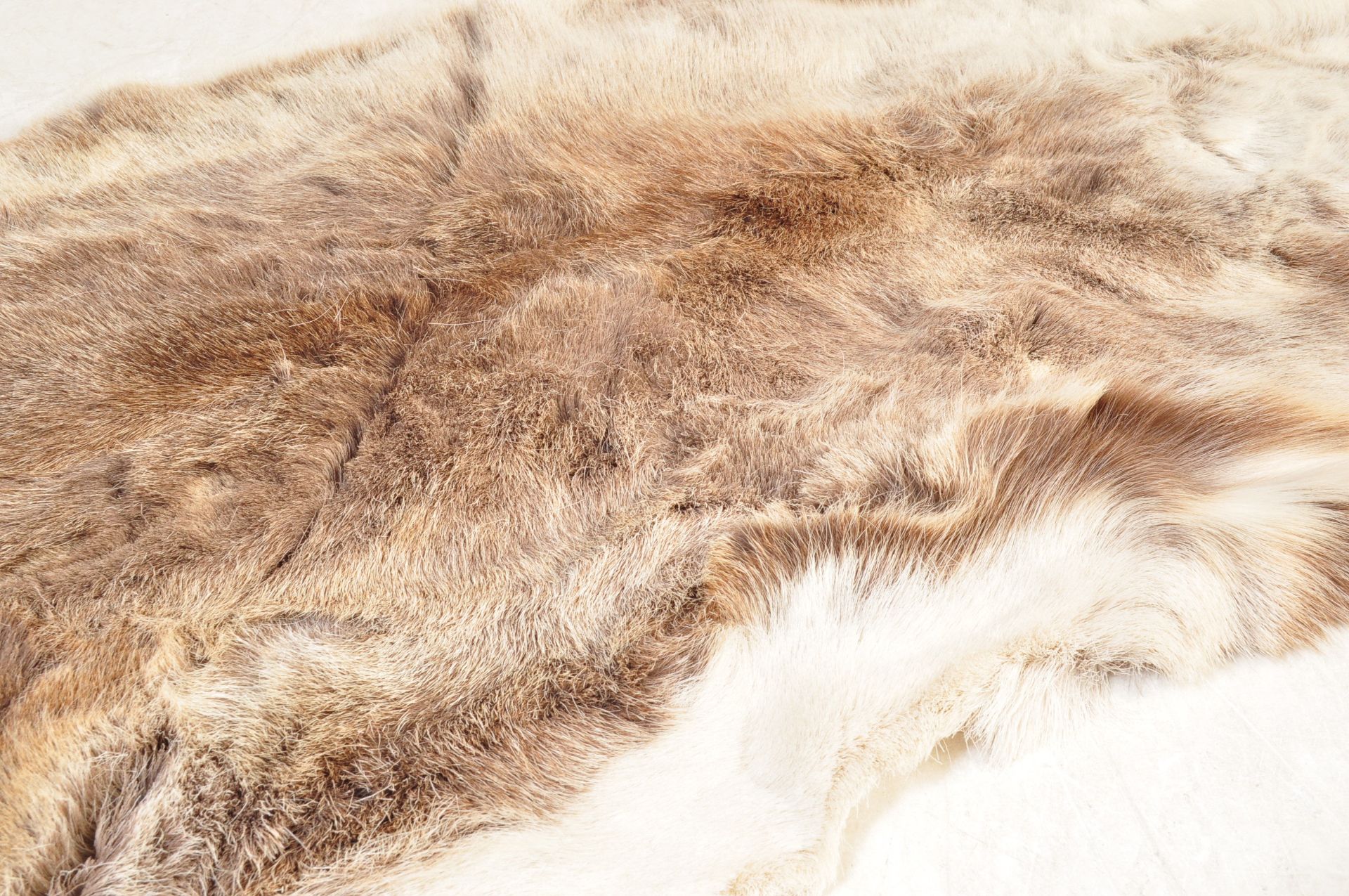 RETRO MID 20TH CENTURY DEER SKIN RUG - Image 3 of 5