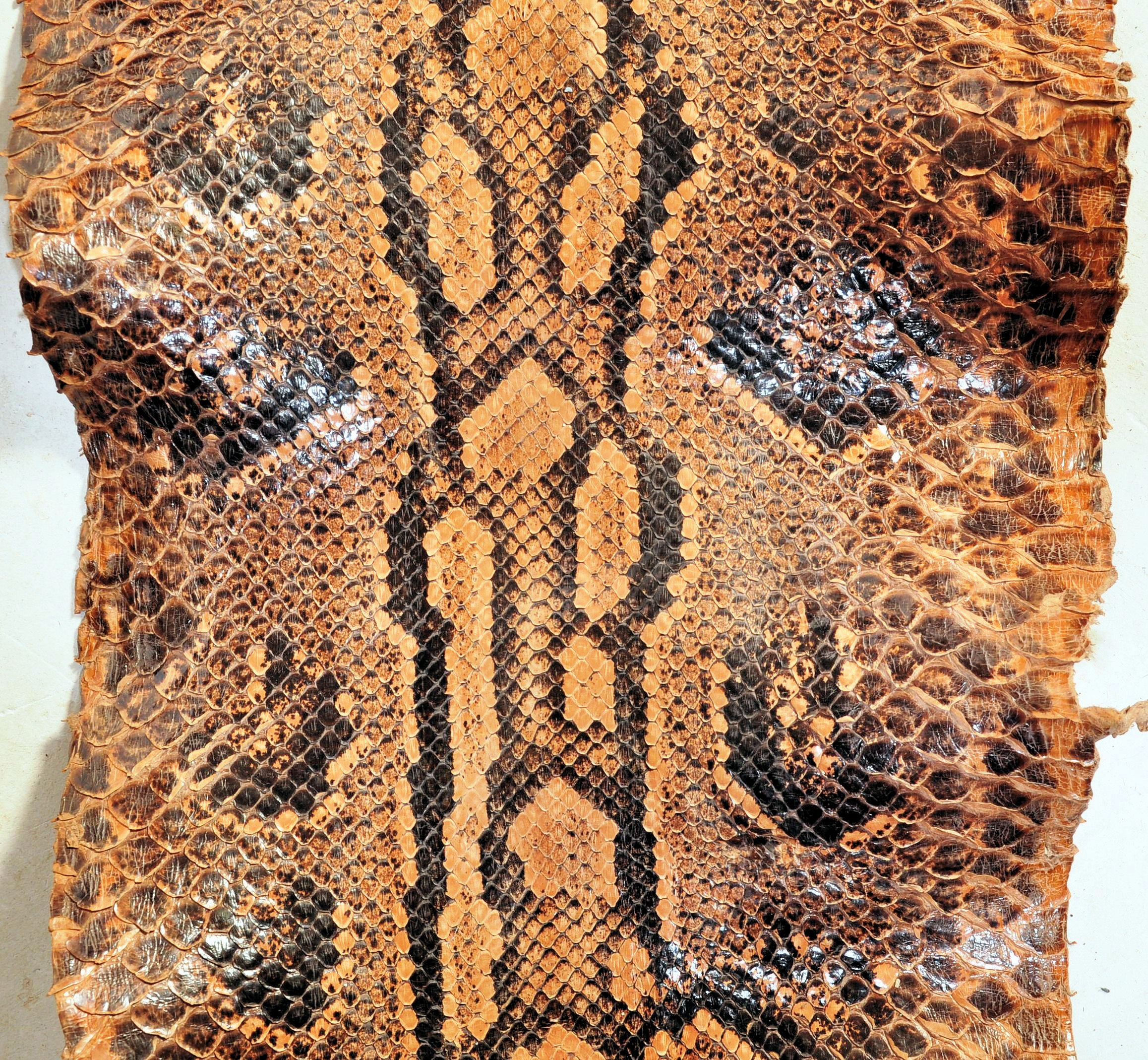 VINTAGE 20TH CENTURY SNAKESKIN - Image 4 of 10