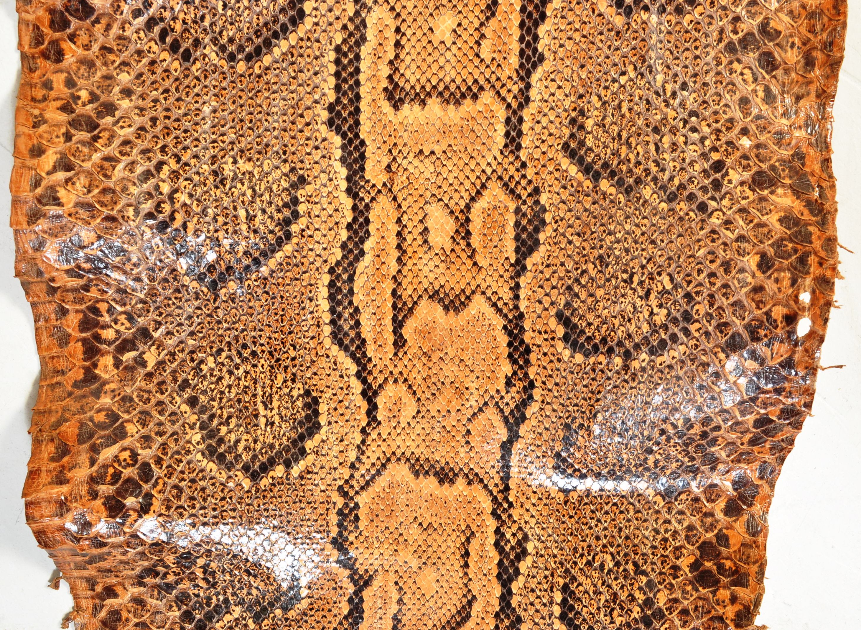 VINTAGE 20TH CENTURY SNAKESKIN - Image 6 of 10