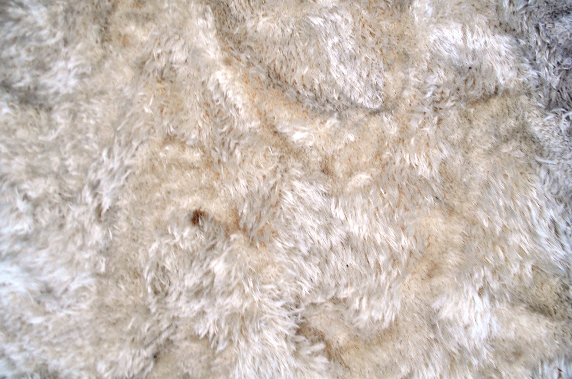 STEP SENGOR - TUFTED WOOLLEN TURKISH CREAM FLOOR RUG - Bild 3 aus 7