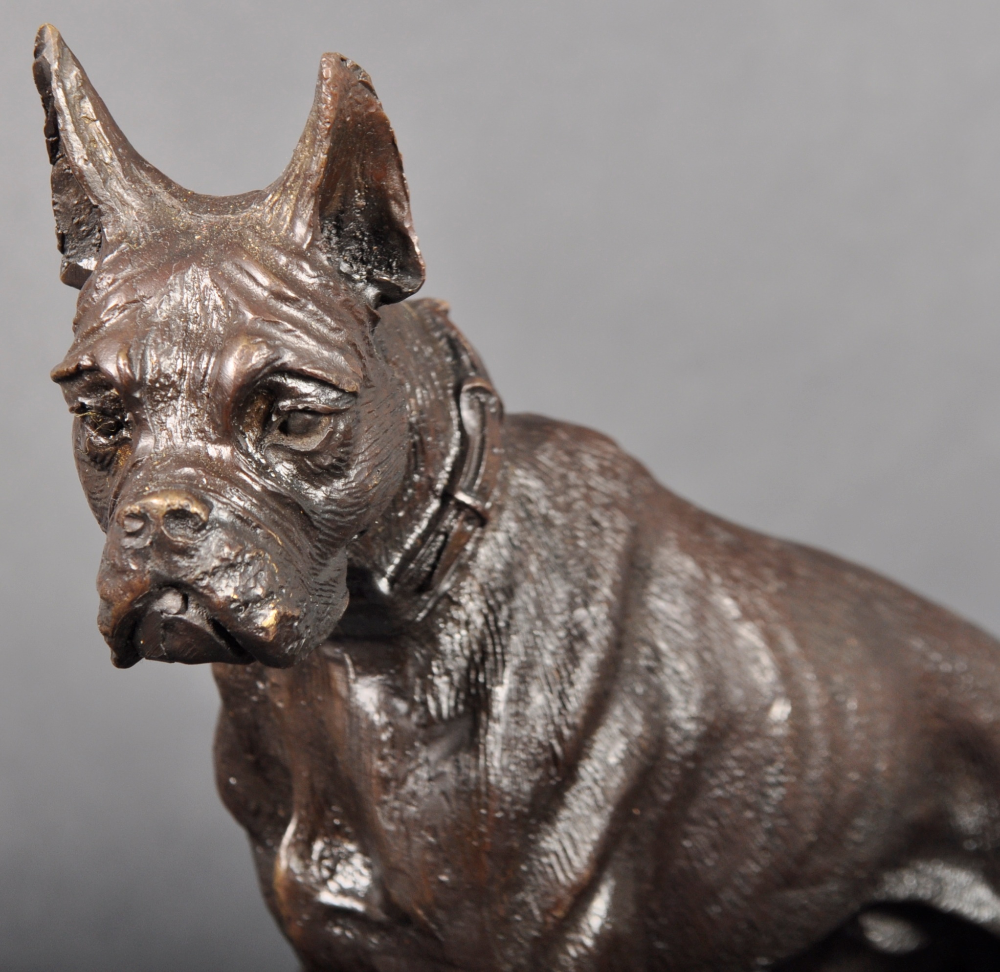 AFTER JULES MENE - BRONZE FIGURE / STATUE OF A BOXER DOG - Image 3 of 8
