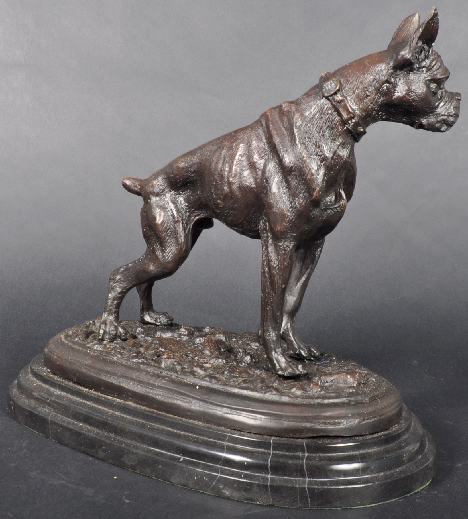 AFTER JULES MENE - BRONZE FIGURE / STATUE OF A BOXER DOG - Image 6 of 8