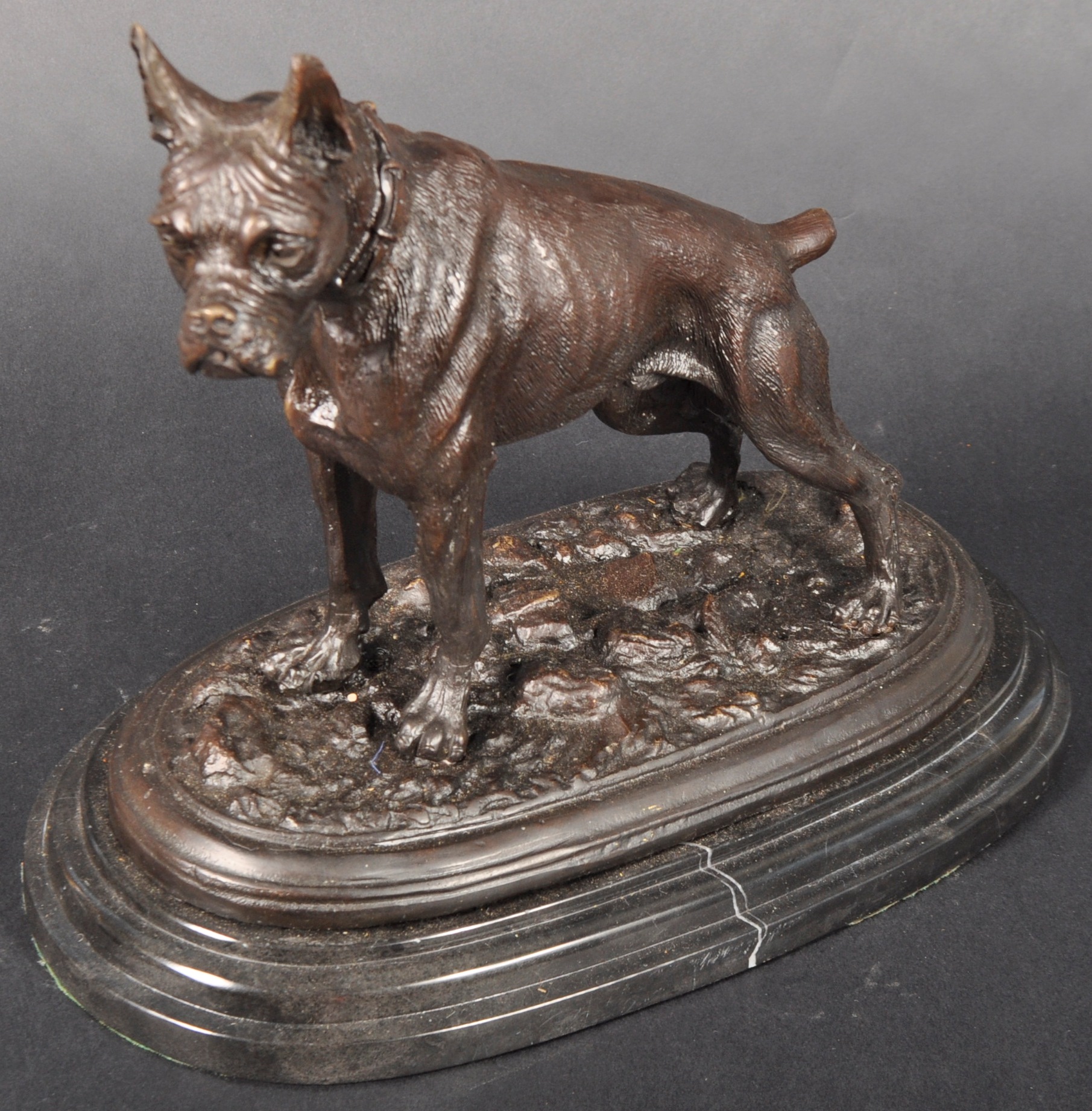 AFTER JULES MENE - BRONZE FIGURE / STATUE OF A BOXER DOG - Image 2 of 8