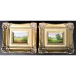 MARY SHAW - PAIR OF ACRYLIC ON BOARD LANDSCAPE PAINTING SCENES