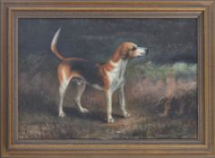 19TH CENTURY ENGLISH SCHOOL OIL BEAGLE PAINTING