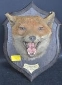 EARLY 20TH CENTURY TAXIDERMY FOX HEAD