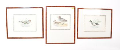 THREE EARLY 20TH CENTURY HAND COLOURED DUCK LITHOGRAPHS