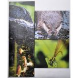 SET OF CONTEMPORARY LARGE PHOTOGRAPHIC PRINTS ON CANVAS