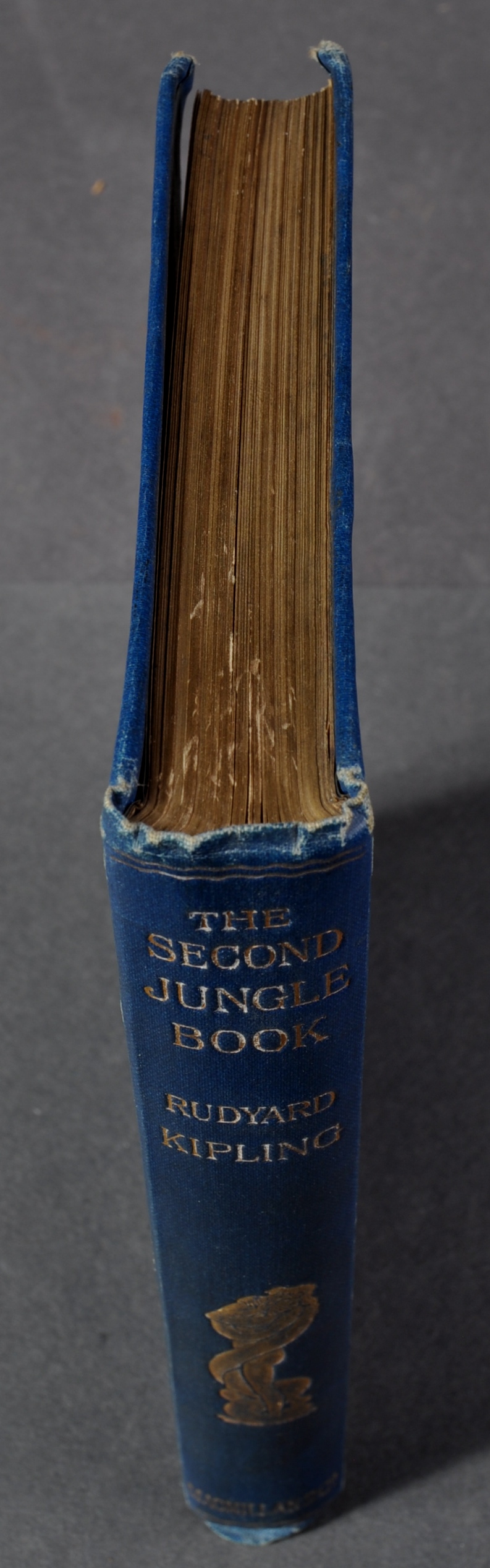 THE SECOND JUNGLE BOOK - RUDYARD KIPLING - 1895 - Image 6 of 7