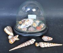 GLASS DOME BELL JAR WITH SEASHELLS