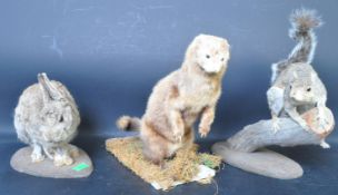 OF TAXIDERMY INTEREST - COLLECTION OF THRE 20TH CENTURY ANIMALS