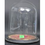 19TH CENTURY GLASS BELL JAR SPECIMEN CASE DOME