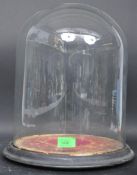 19TH CENTURY GLASS BELL JAR SPECIMEN CASE DOME