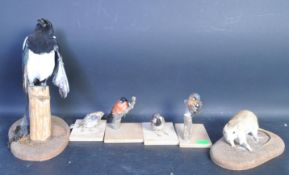 OF TAXIDERMY INTEREST - COLLECTION OF 20TH CENTURY ANIMALS