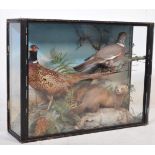 OF TAXIDERMY INTEREST - VINTAGE TAXIDERMY PHEASANT