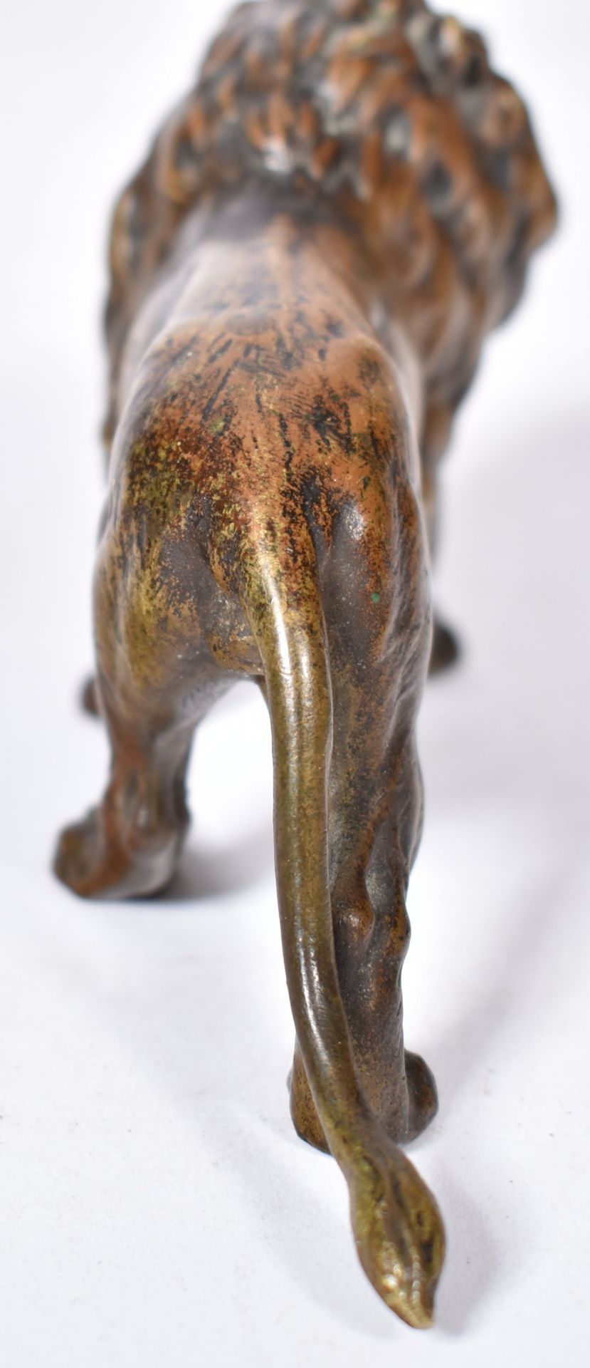 19TH CENTURY AUSTRIAN COLD PAINTED BRONZE LION - Image 4 of 5