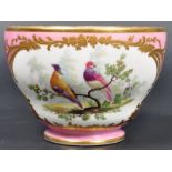 19TH CENTURY FRENCH SEVRES PORCELAIN TEA CUP