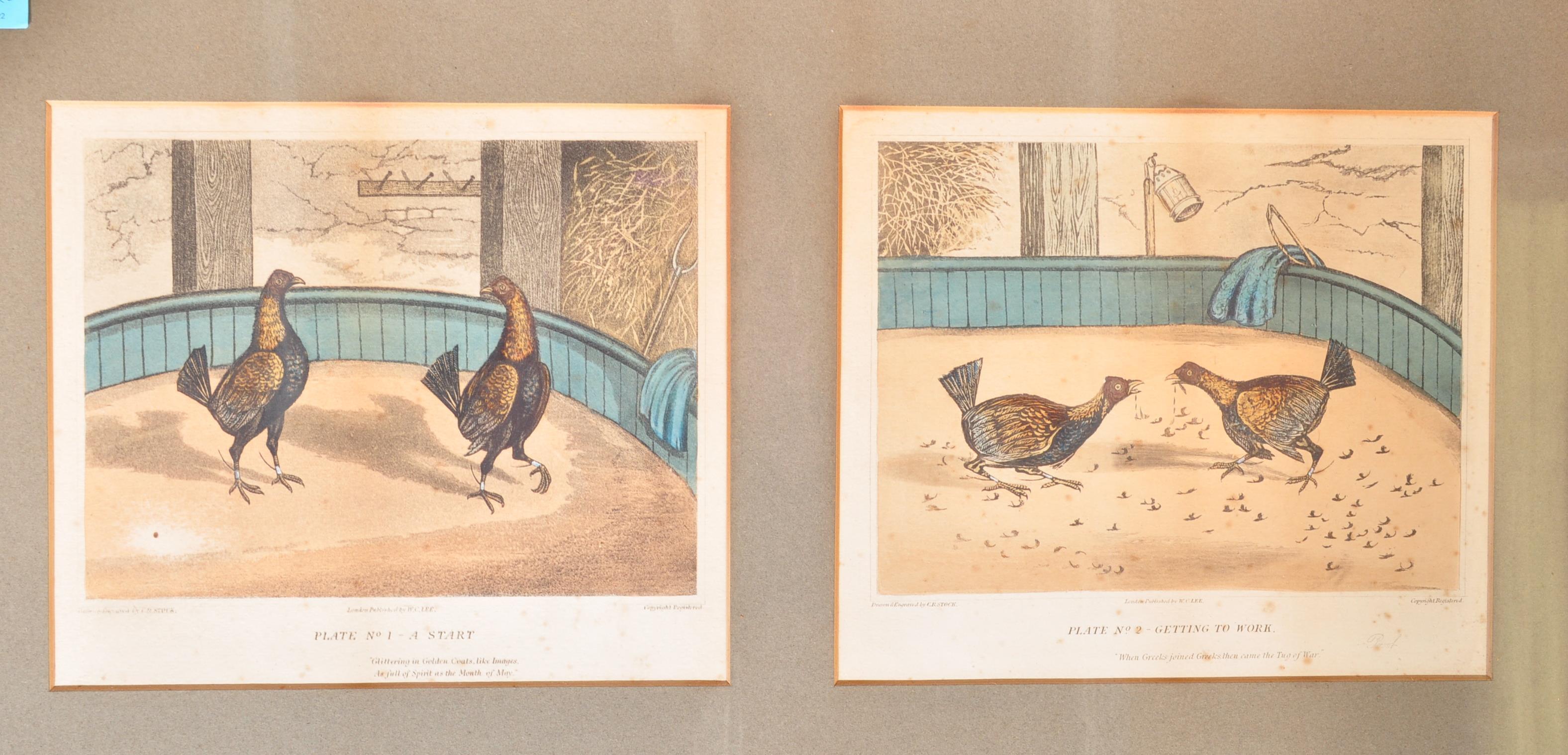 C. R. STOCK - EARLY 19TH CENTURY COCK FIGHTING ENGRAVINGS - Image 5 of 6