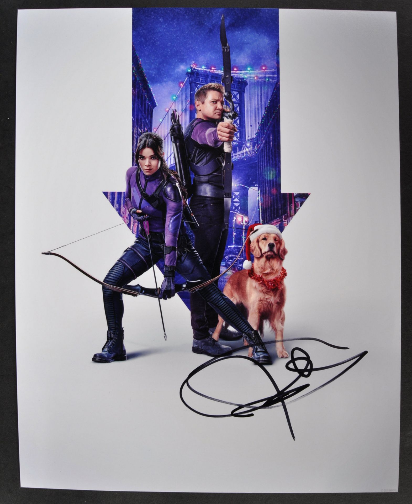 JEREMY RENNER - HAWKEYE (MARVEL) - SIGNED PHOTOGRAPH - AFTAL