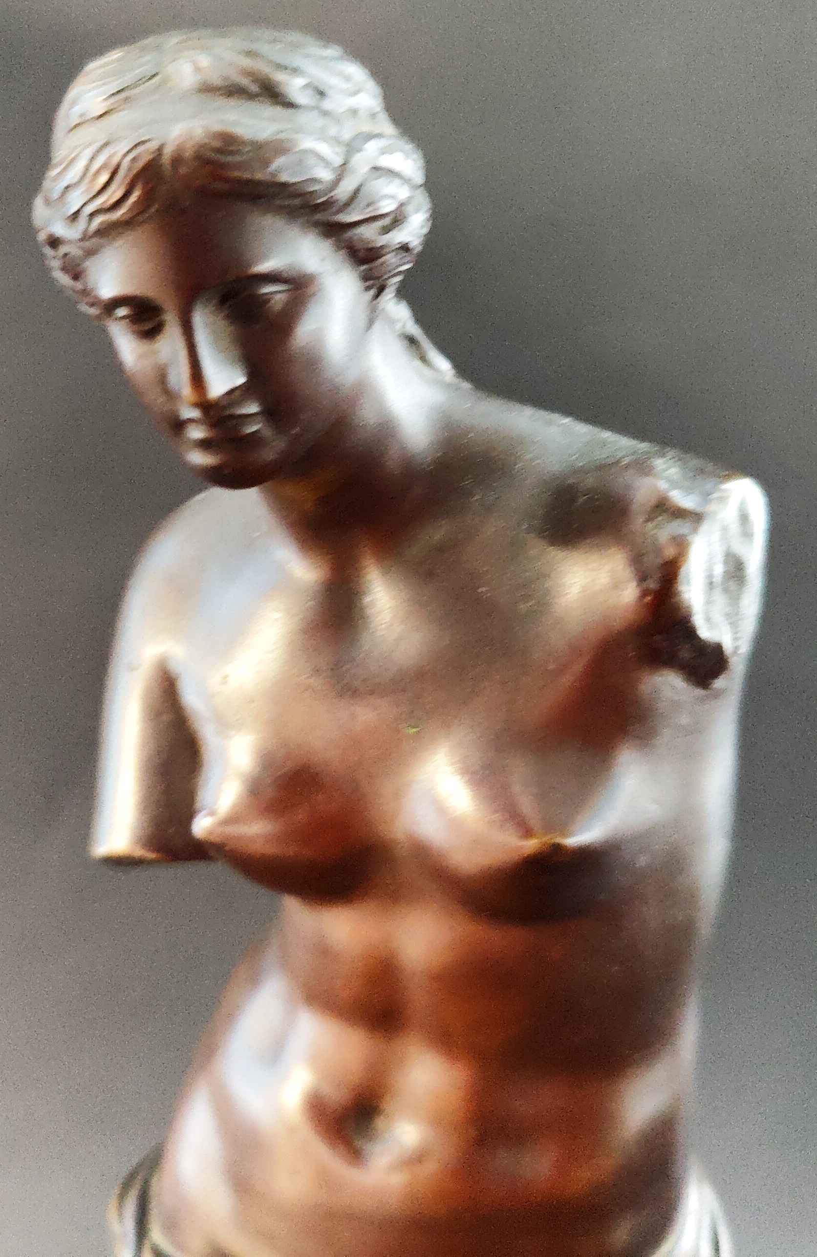 LARGE 19TH CENTURY GRAND TOUR BRONZE VENUS DE MILO - Image 2 of 6