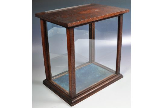 19TH CENTURY VICTORIAN TAXIDERMY SPECIMEN GLASS CASE - Image 6 of 6