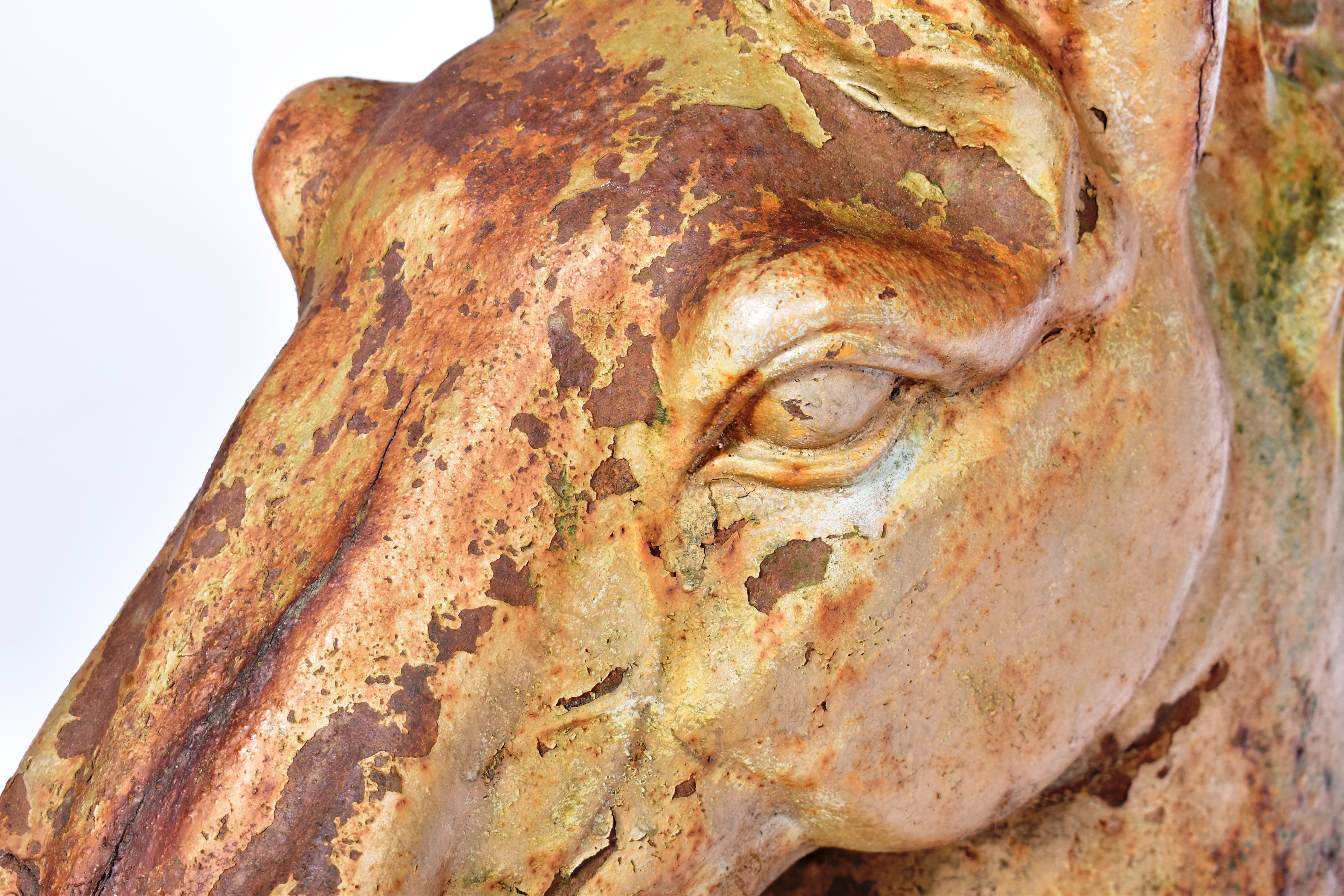 19TH CENTURY VICTORIAN HEAVY CAST IRON HORSES HEAD - Image 4 of 9