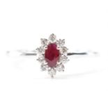 PLATINUM RUBY & DIAMOND HALO RING