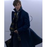 EDDIE REDMAYNE - FANTASTIC BEASTS - SIGNED 8X10" PHOTO - AFTAL