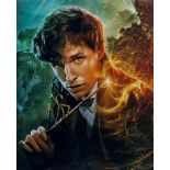 EDDIE REDMAYNE - FANTASTIC BEASTS - AUTOGRAPHED 8X10" - AFTAL