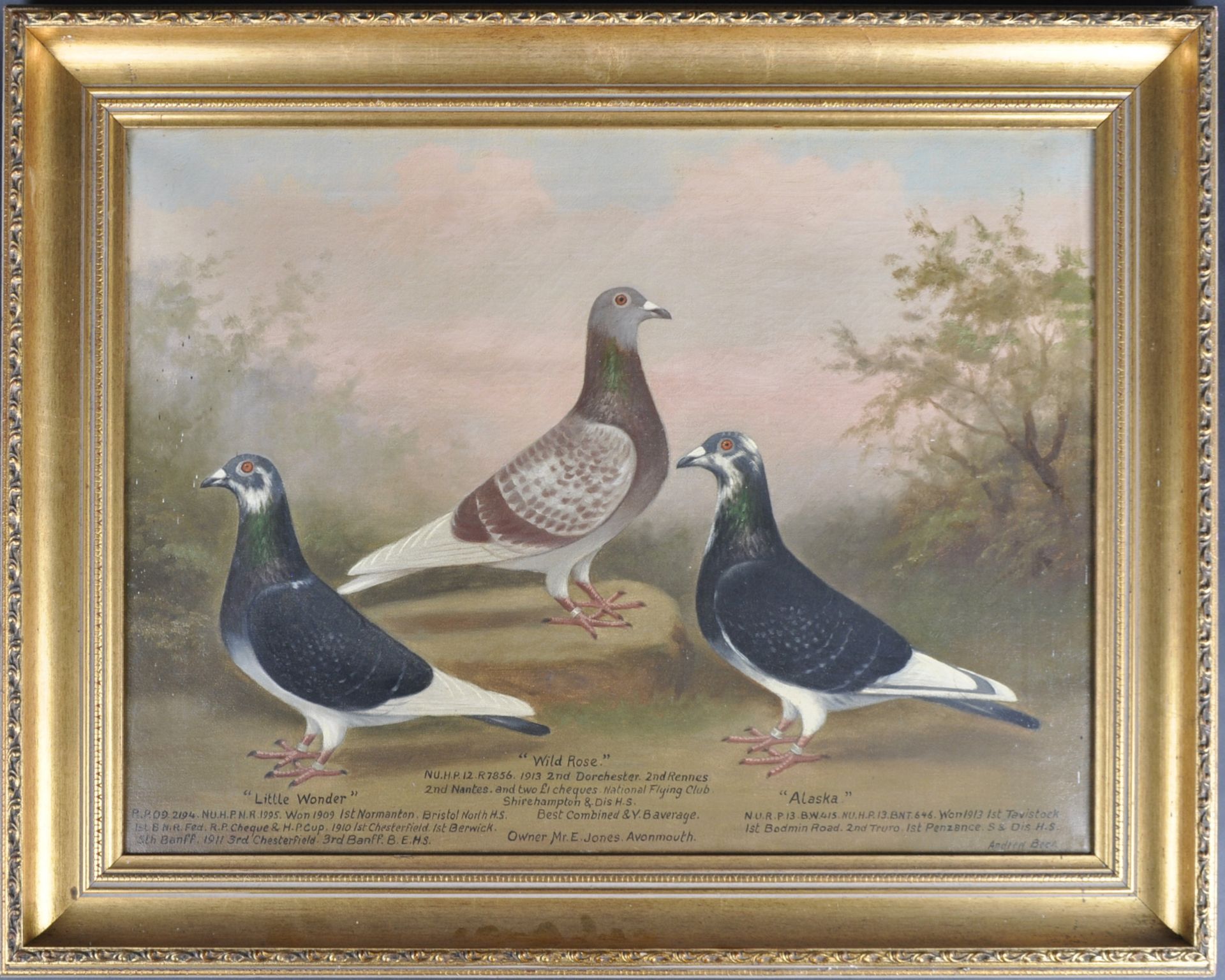 ANDREW BEER (1862-1954) - OIL ON CANVAS TRIPLE PIGEON PAINTING