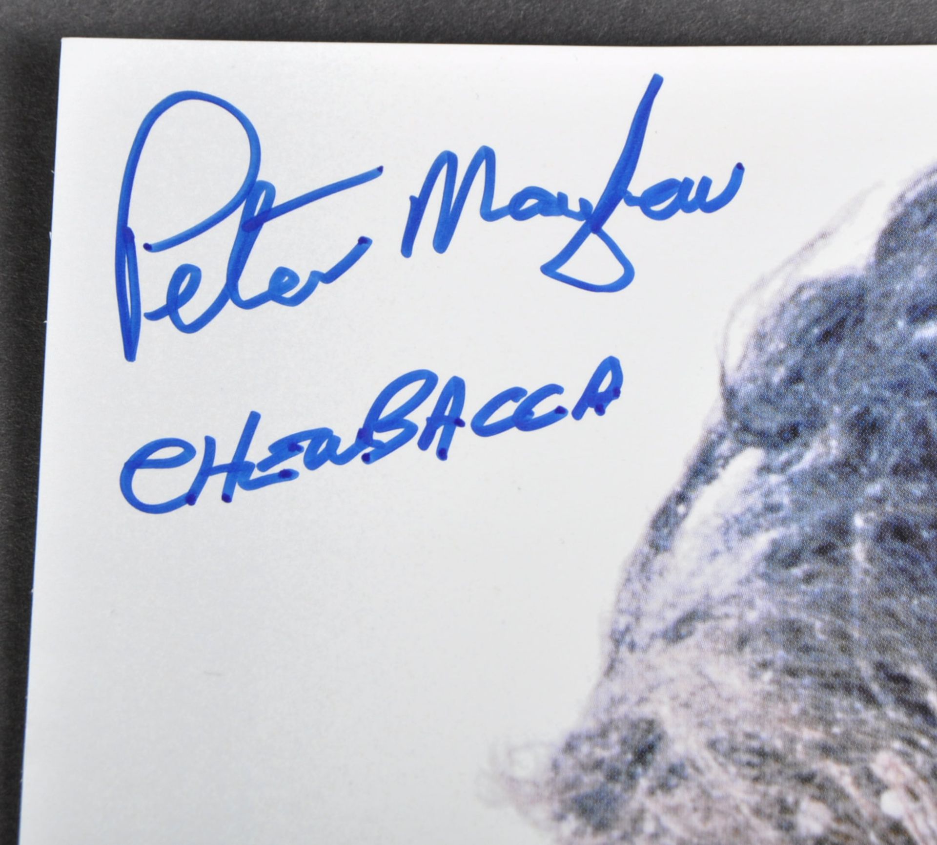 STAR WARS - PETER MAYHEW (1944-2019) - AUTOGRAPHED 8X10" - AFTAL - Bild 2 aus 2