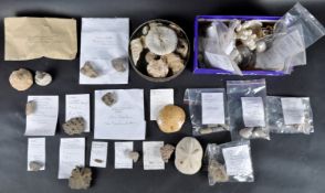 FOSSILS - LARGE COLLECTION OF CORALS