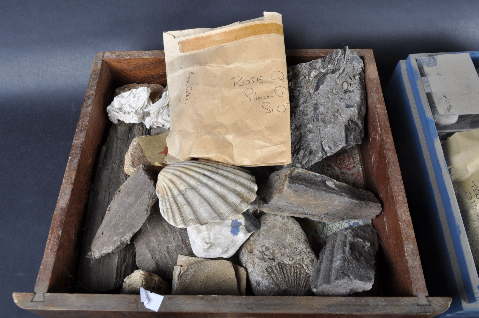 FOSSILS - MIXED COLLECTION OF FOSSILS, MINERALS AND ROCK SPECIMENS - Bild 13 aus 18