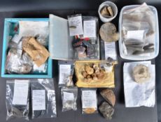 FOSSILS - LARGE MIXED COLLECTION OF FOSSILS & POLISHED MINERALS
