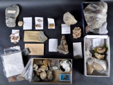 FOSSILS - LARGE MIXED COLLECTION OF FOSSILS