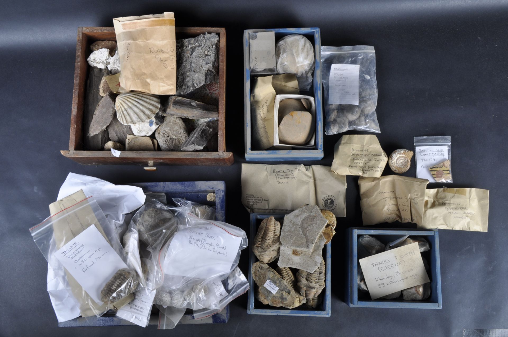 FOSSILS - MIXED COLLECTION OF FOSSILS, MINERALS AND ROCK SPECIMENS - Bild 11 aus 18