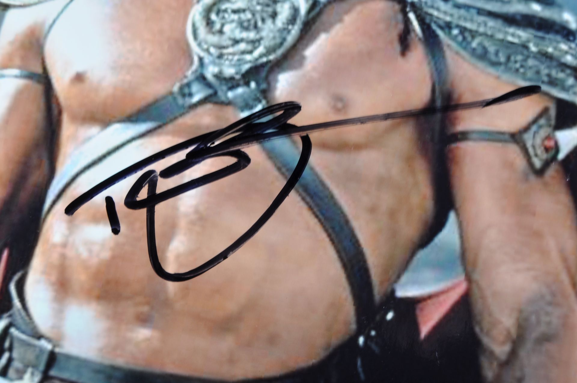 DOLPH LUNDGREN - MOTU (1987) - AUTOGRAPHED 8X10" PHOTO - Bild 2 aus 2