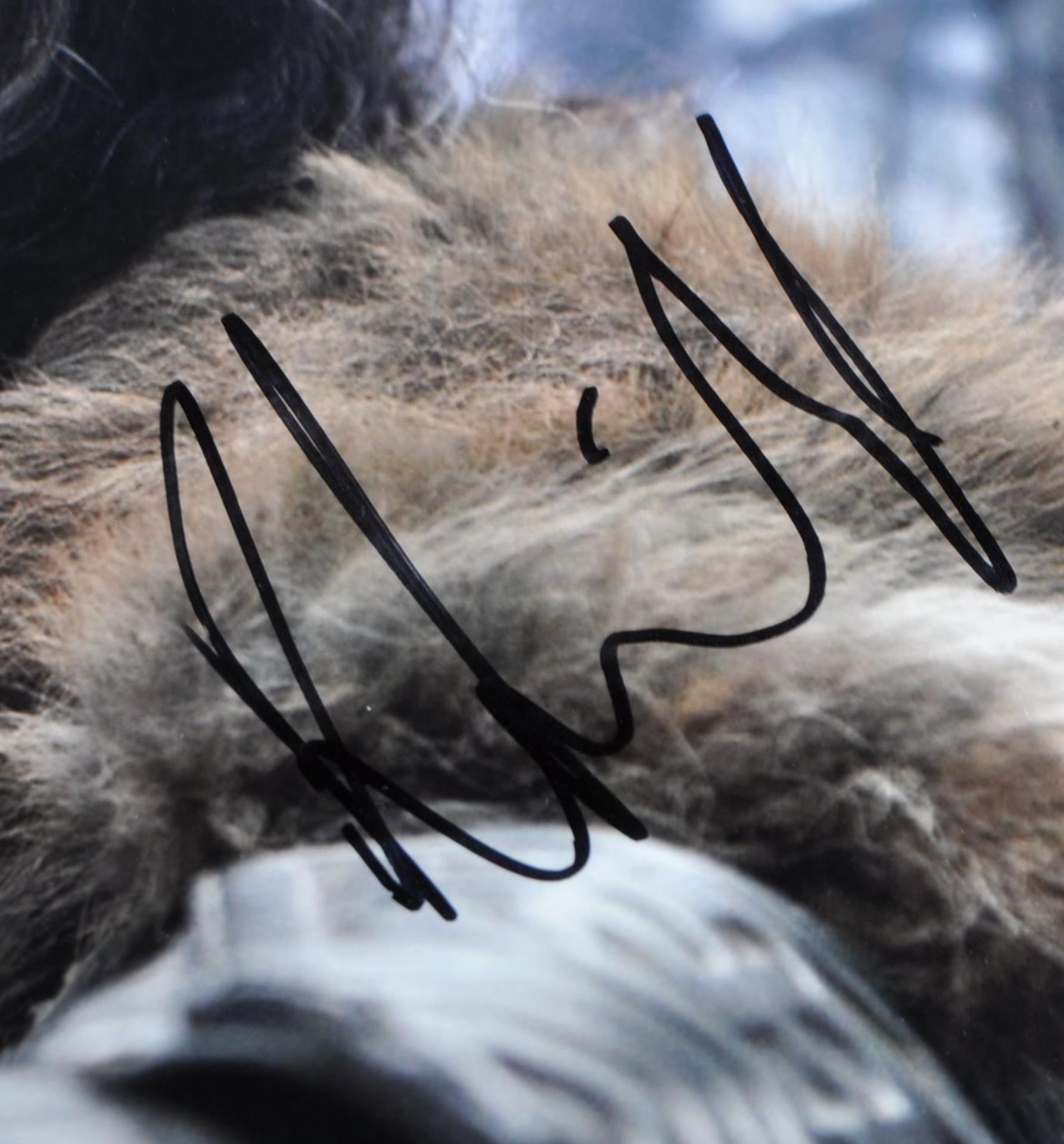 THE HOBBIT - RICHARD ARMITAGE ( THORIN OAKENSHIELD ) - SIGNED AUTOGRAPH - Image 2 of 2