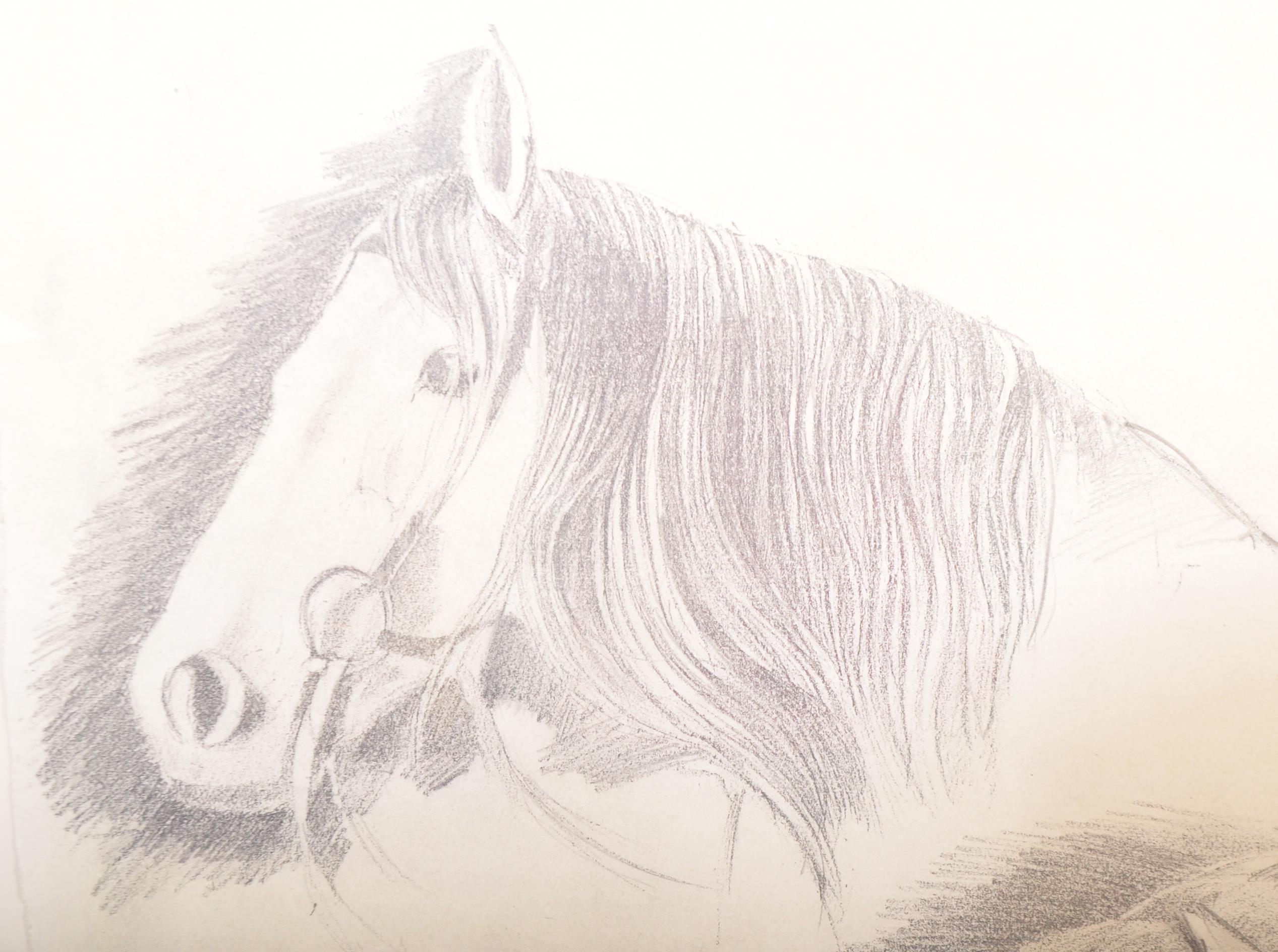 ALAN BRASSINGTON RACING HORSE HEADS PENCIL SKETCH - Image 5 of 5