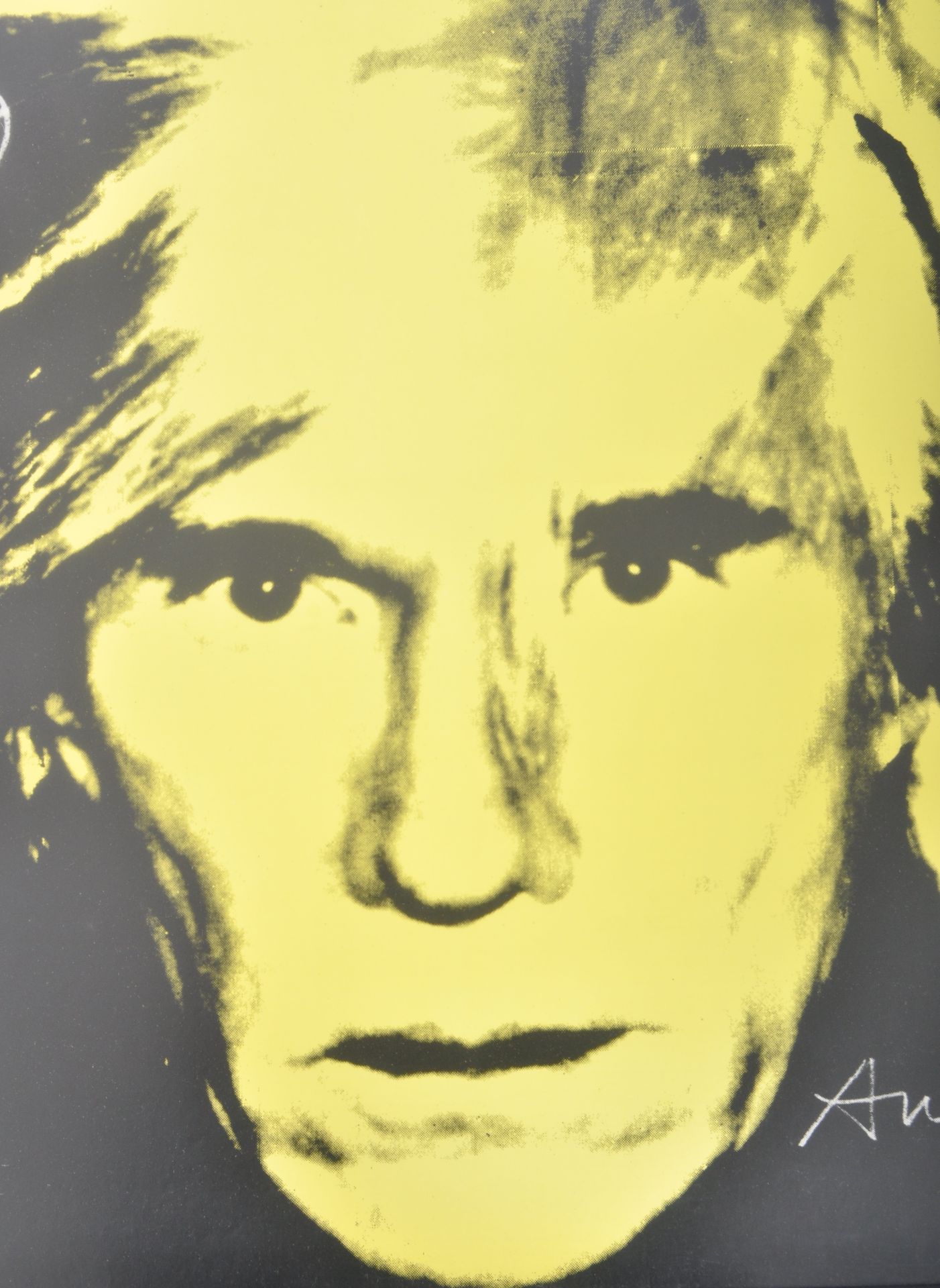 AFTER ANDY WARHOL - WILLIAMS COLLEGE LITHOGRAPH - Bild 3 aus 4