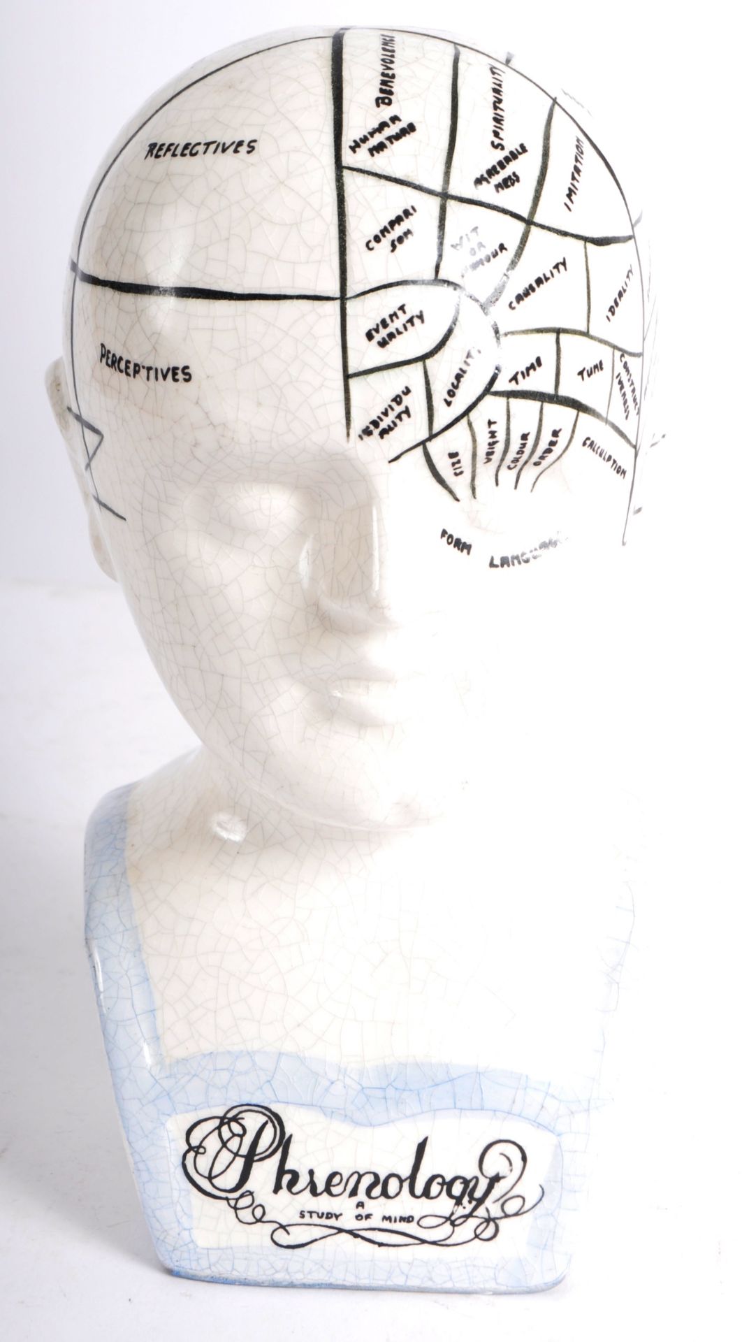 VICTORIAN MANNER PHRENOLOGY HEAD - Image 7 of 8