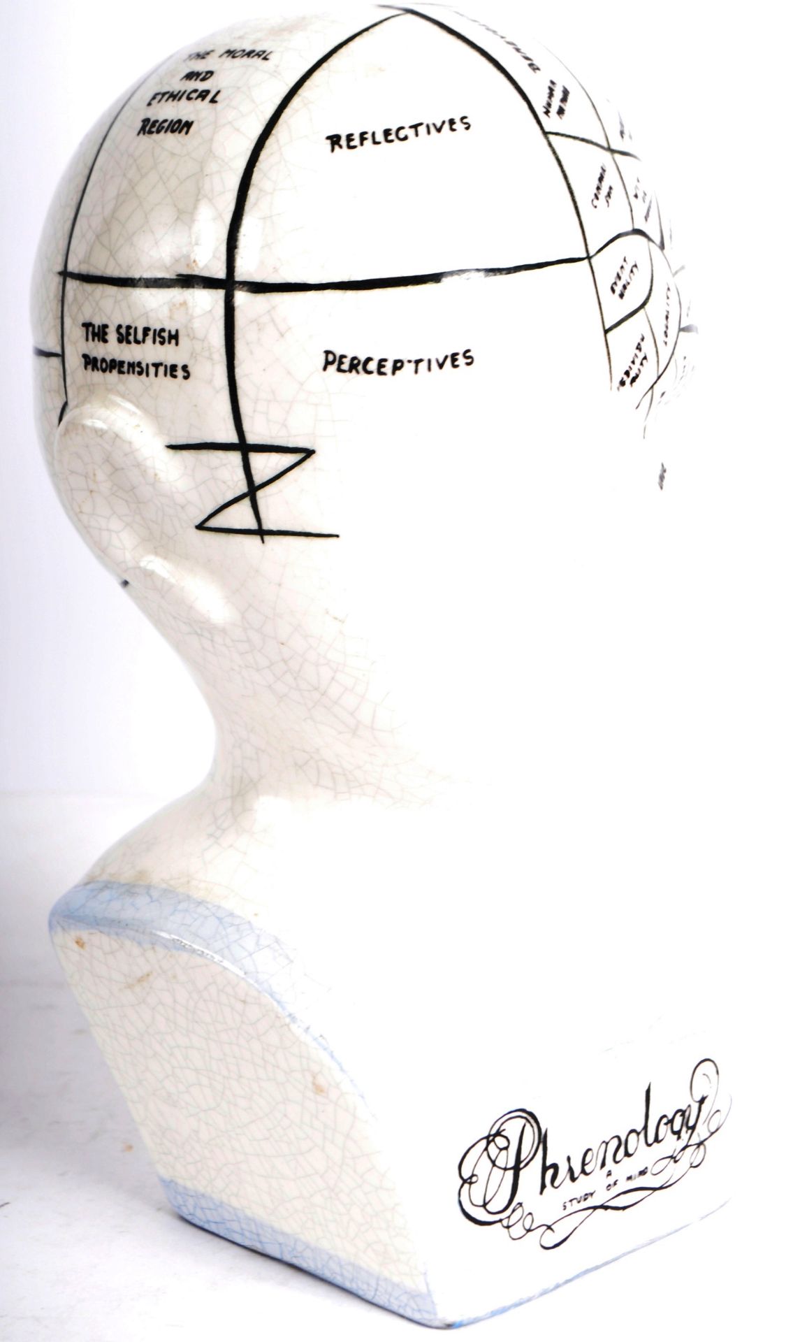 VICTORIAN MANNER PHRENOLOGY HEAD - Image 2 of 8