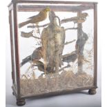 TAXIDERMY & NATURAL HISTORY - VICTORIAN CASED BIRDS