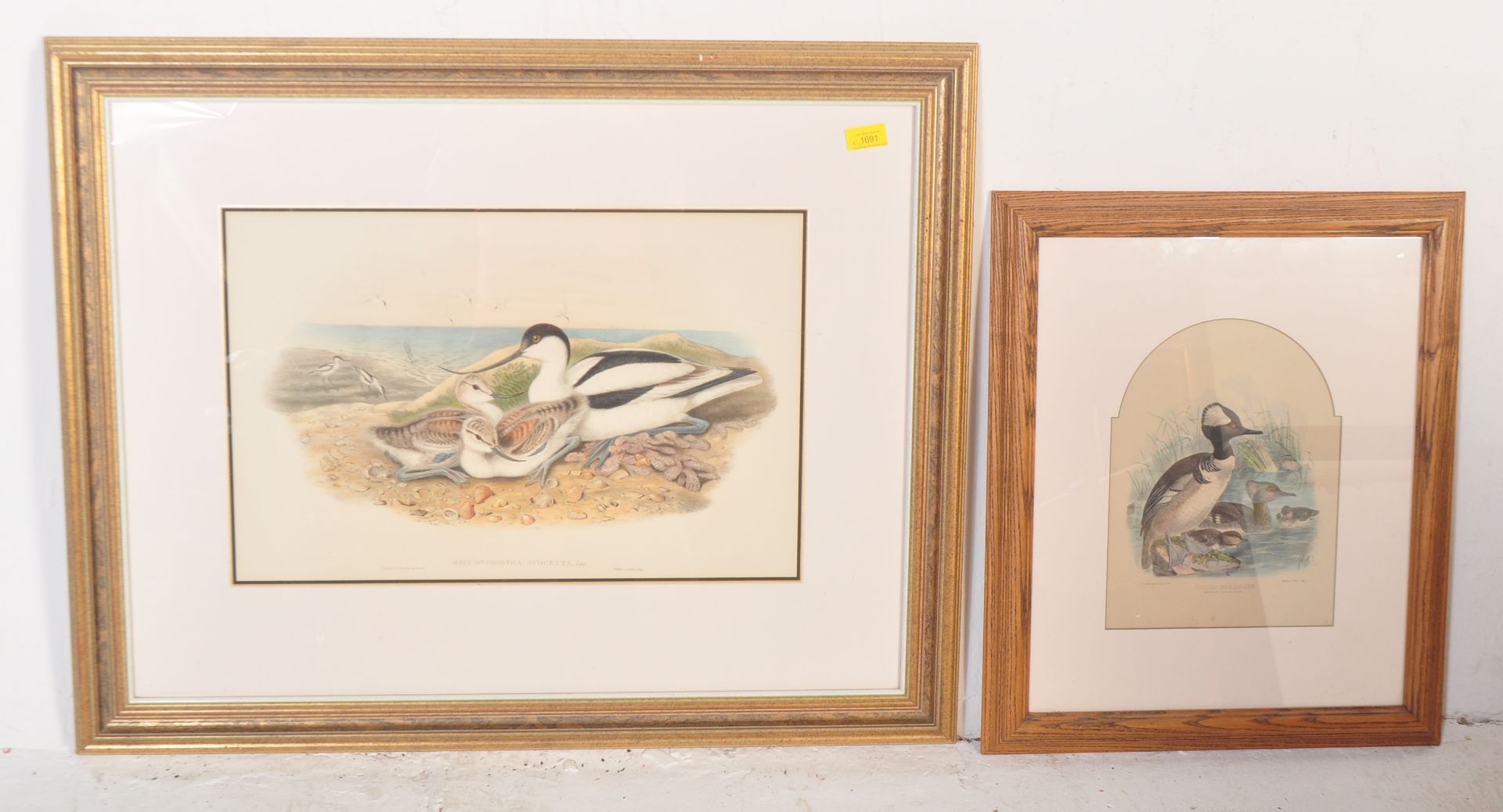 AFTER J. GOULDA & H. RICHTER - TWO HAND PAINTED GAME BIRDS PRINTS