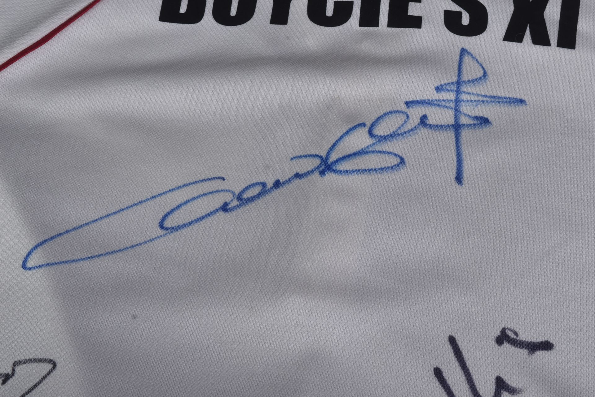 ESTATE OF JOHN CHALLIS - BOYCIE'S XI - AUTOGRAPHED CRICKET SHIRT - Image 5 of 8