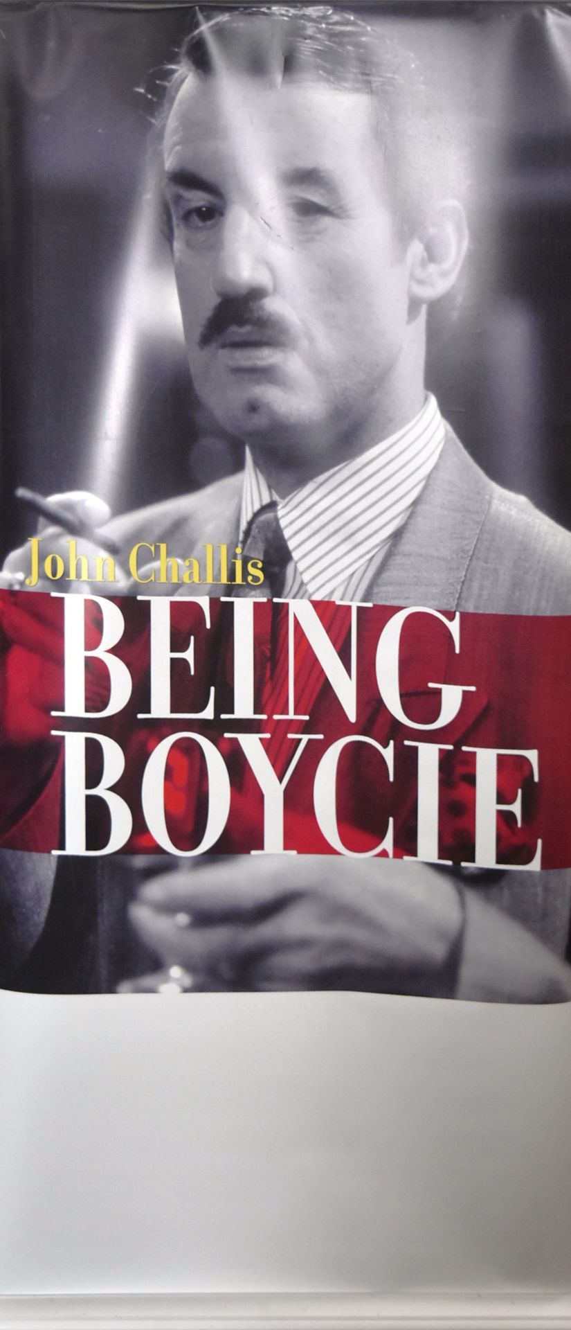ESTATE OF JOHN CHALLIS - PERSONAL APPEARANCE BANNERS - Bild 2 aus 7