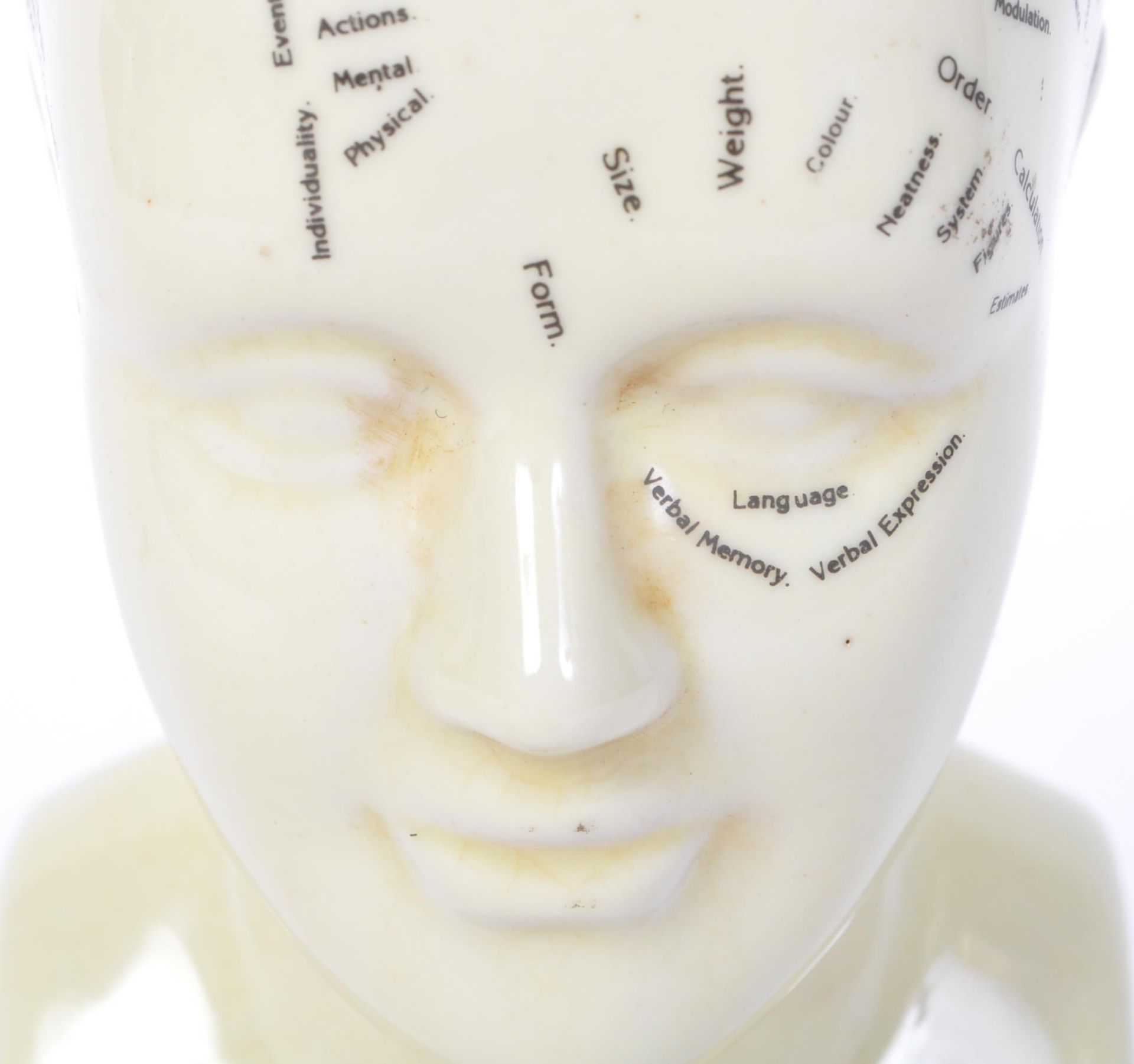 VINTAGE L. N. FOWLER PHRENOLOGY BUST - Image 4 of 4