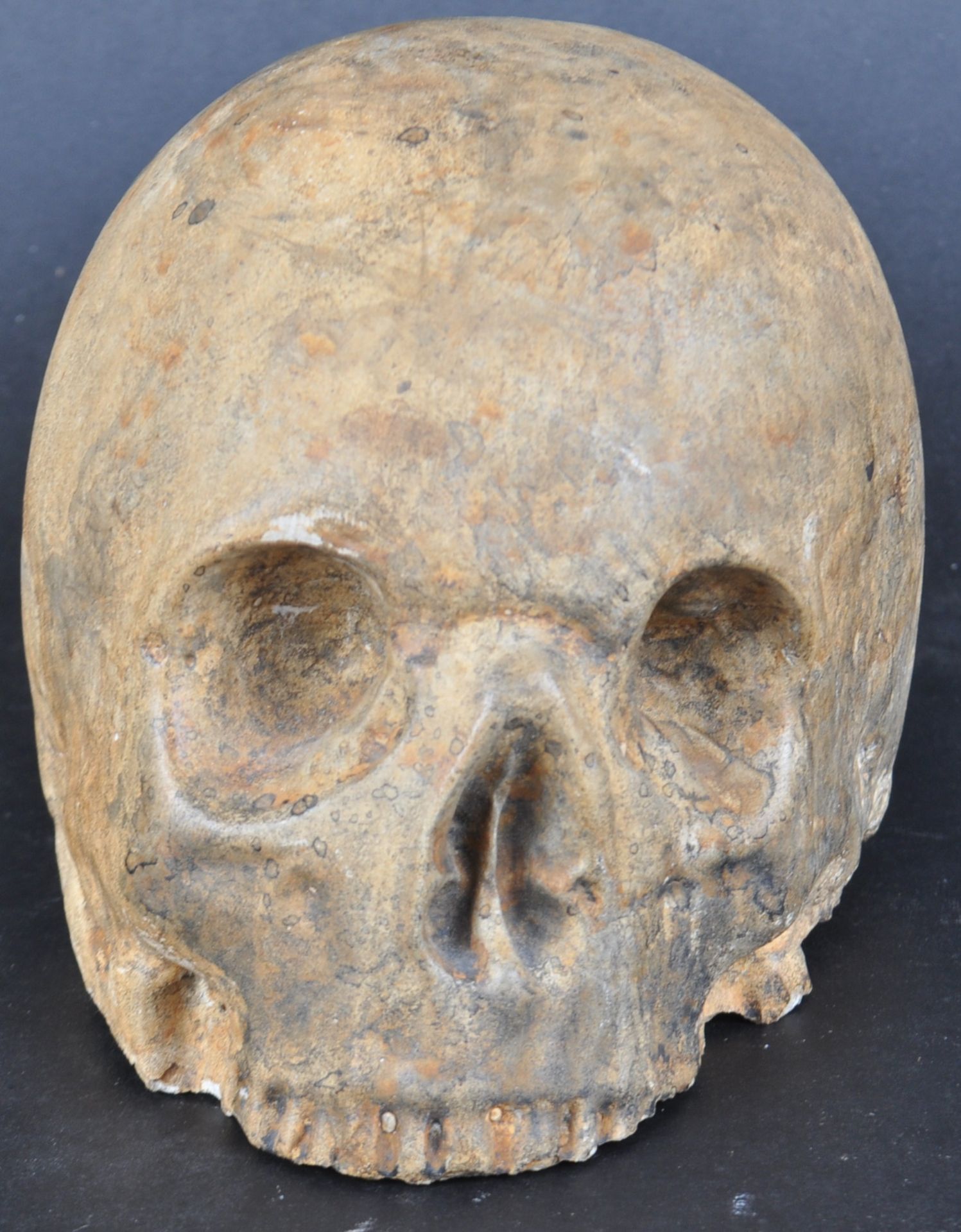 19TH CENTURY MEMENTO MORI SKULL - Image 2 of 6