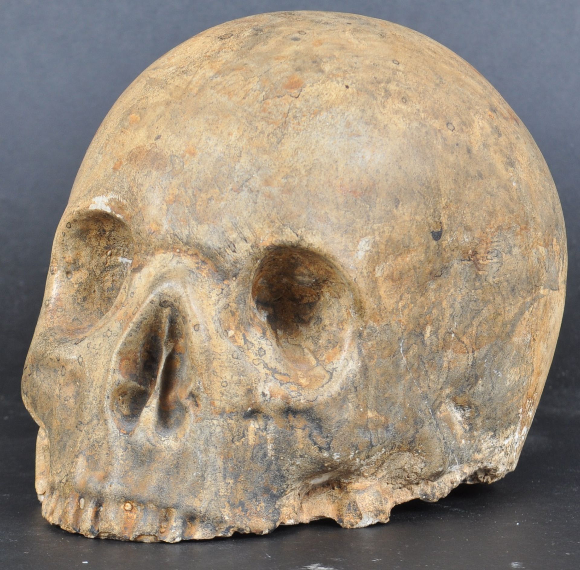 19TH CENTURY MEMENTO MORI SKULL