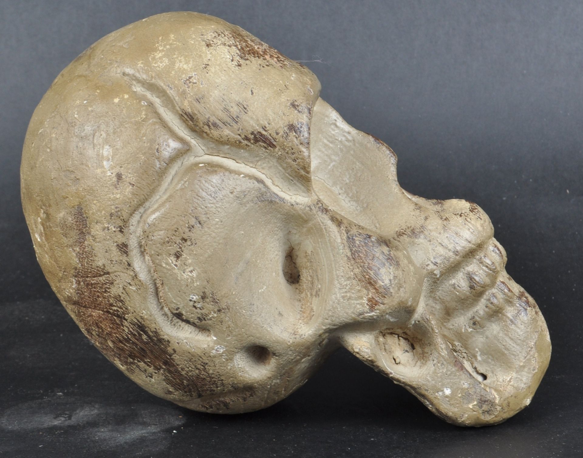 UNUSUAL 20TH CENTURY CARVED WOOD PAINTED SKULL - Image 5 of 7